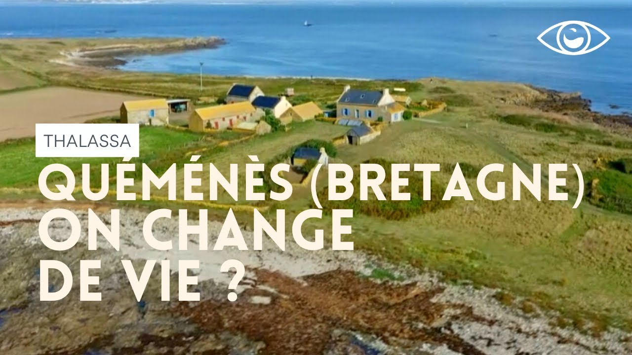Vivre (isolé) sur une île (bretonne) - Thalassa