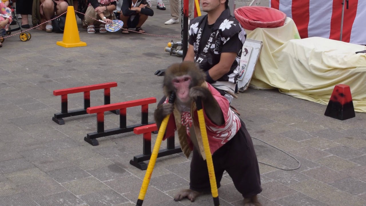 2019.8.12 はこだて夜祭りinグリーンプラザ 日光猿軍団(初日)