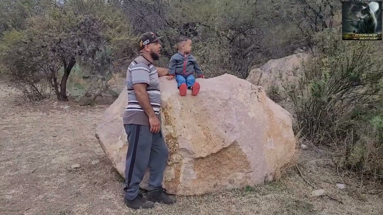 El avistamiento de zorros