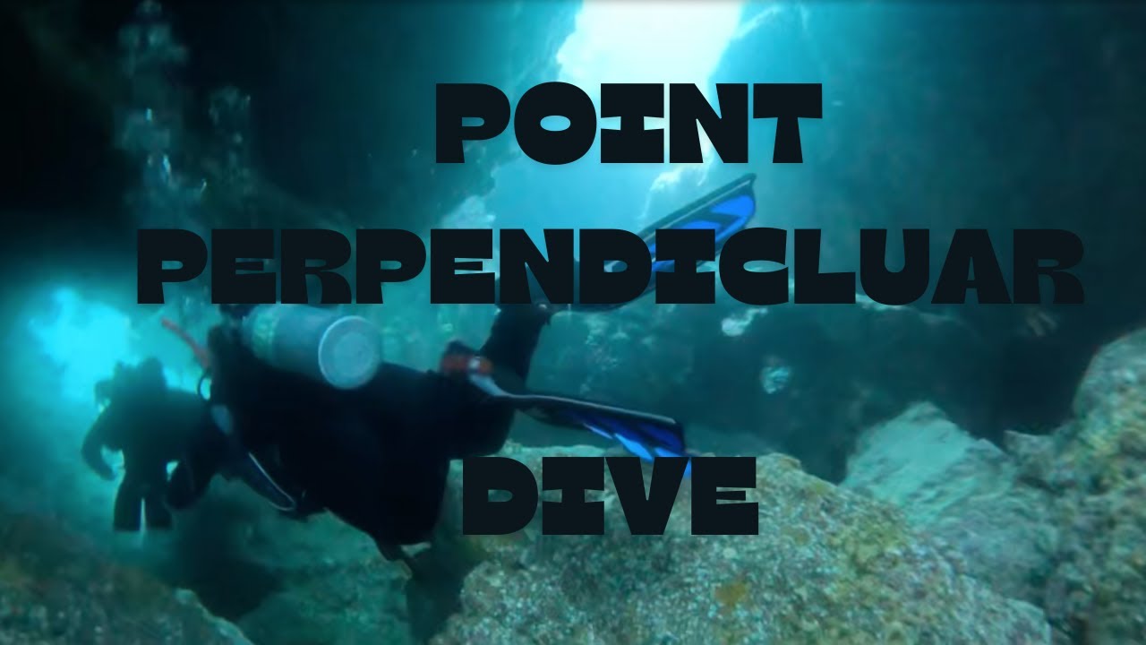 Point Perpendicular Dive