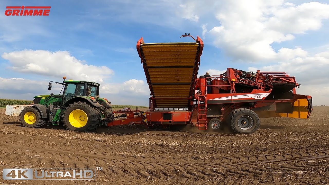 Landwirtschaftsbetrieb Bollmann / Kartoffeln Roden mit GRiMME EVO 280  Albersroda ORIGINALTON 4k UHD