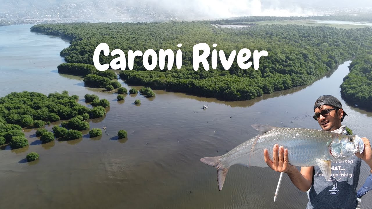 RIVER FISHING IN TRINIDAD FOR PRIZED GAMEFISH! Epic Adventure In The Caroni River  - Caribbean Life