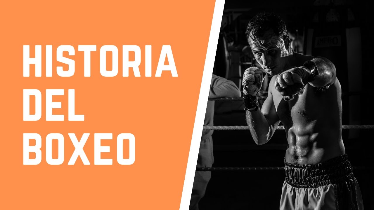 Historia del box: de la Edad Antigua hasta hoy