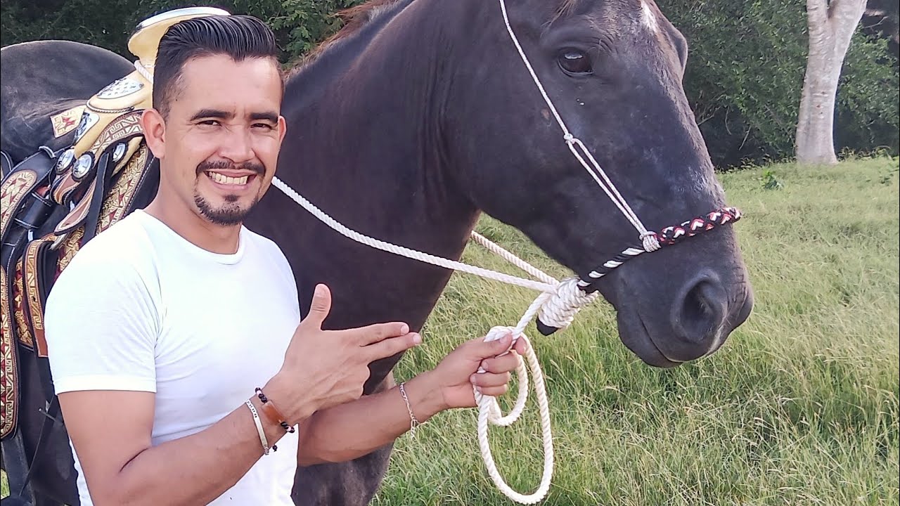 FALSA RIENDA PARA CABALLO @NONO RANCH