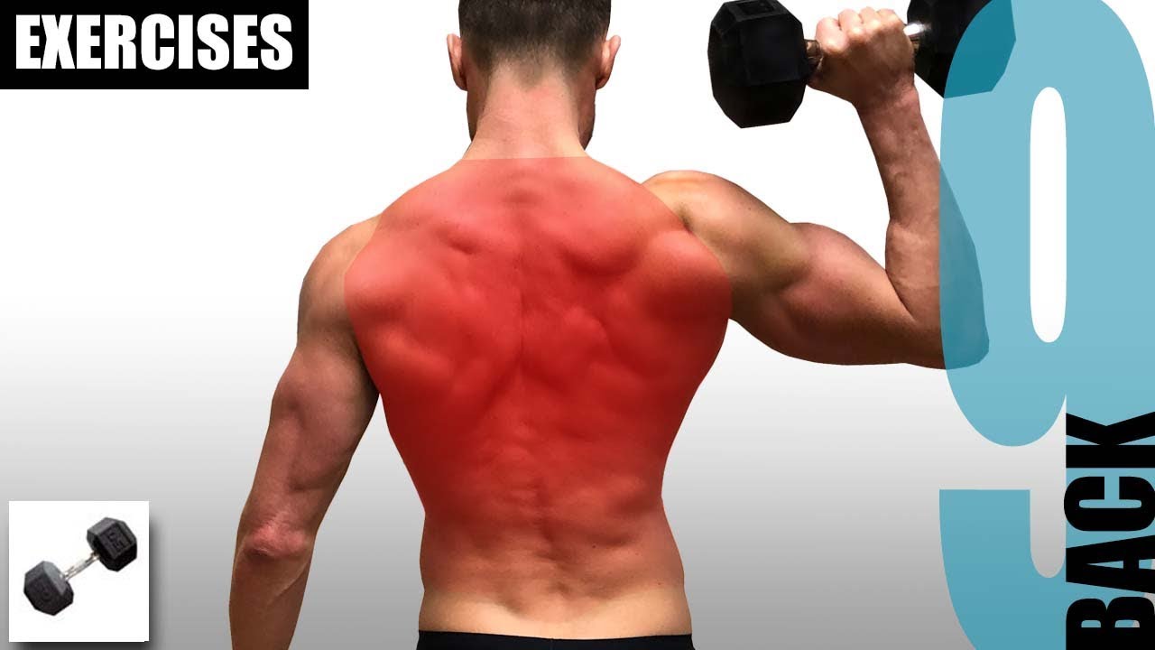 9 DUMBBELL BACK EXERCISES AND THE MUSCLES THEY TARGET
