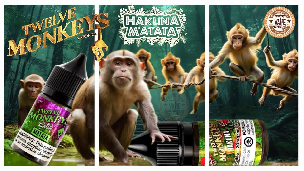 What is this Hakuna and Matata by TWELVE MONKEYS VAPOR CO | #review