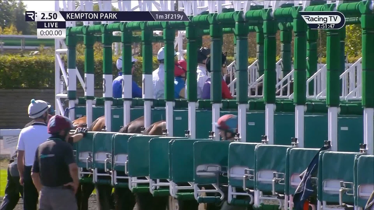 Constitution Hill впервые проигрывает в гладких скачках в Кемптоне