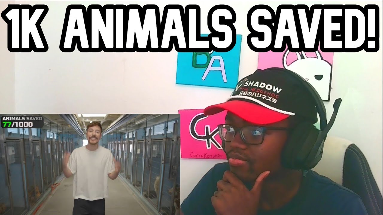 MrBeast Saved 1,000 Animals From Dying Reaction