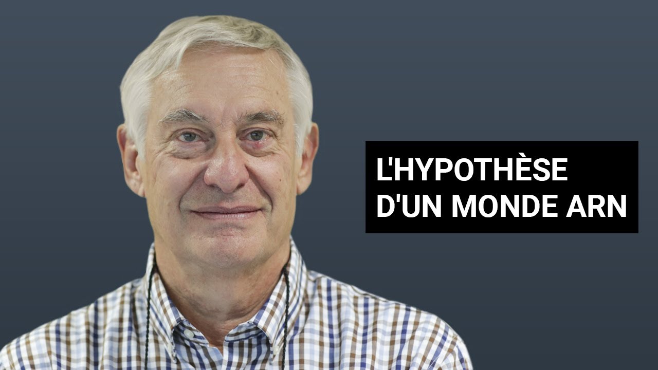 L'HYPOTHÈSE D'UN MONDE ARN
