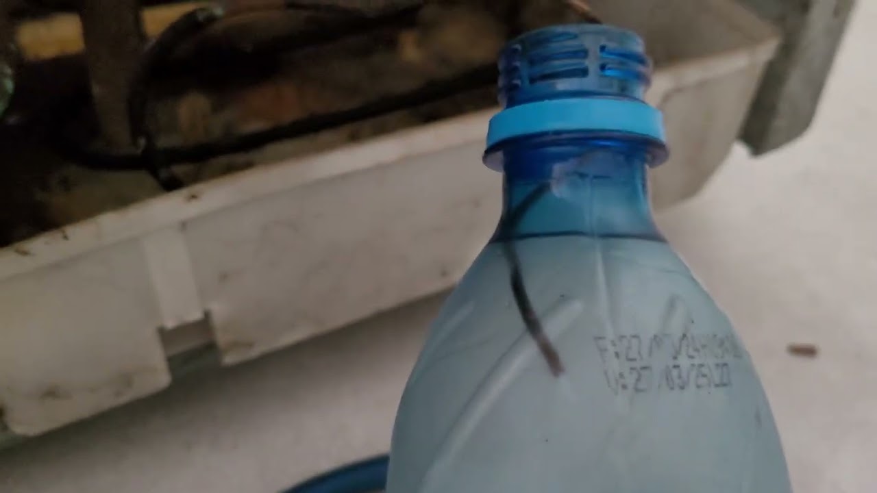 Como fazer Limpeza de sistema em geladeira sem nitrogênio, usando apenas o compressor.