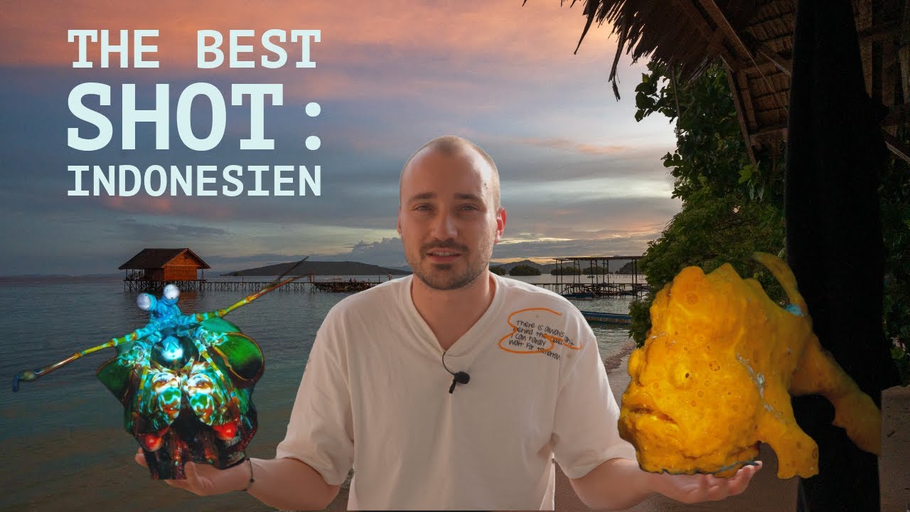 The Best Shot: Indonesien. Entdeckungen unter Wasser 4K