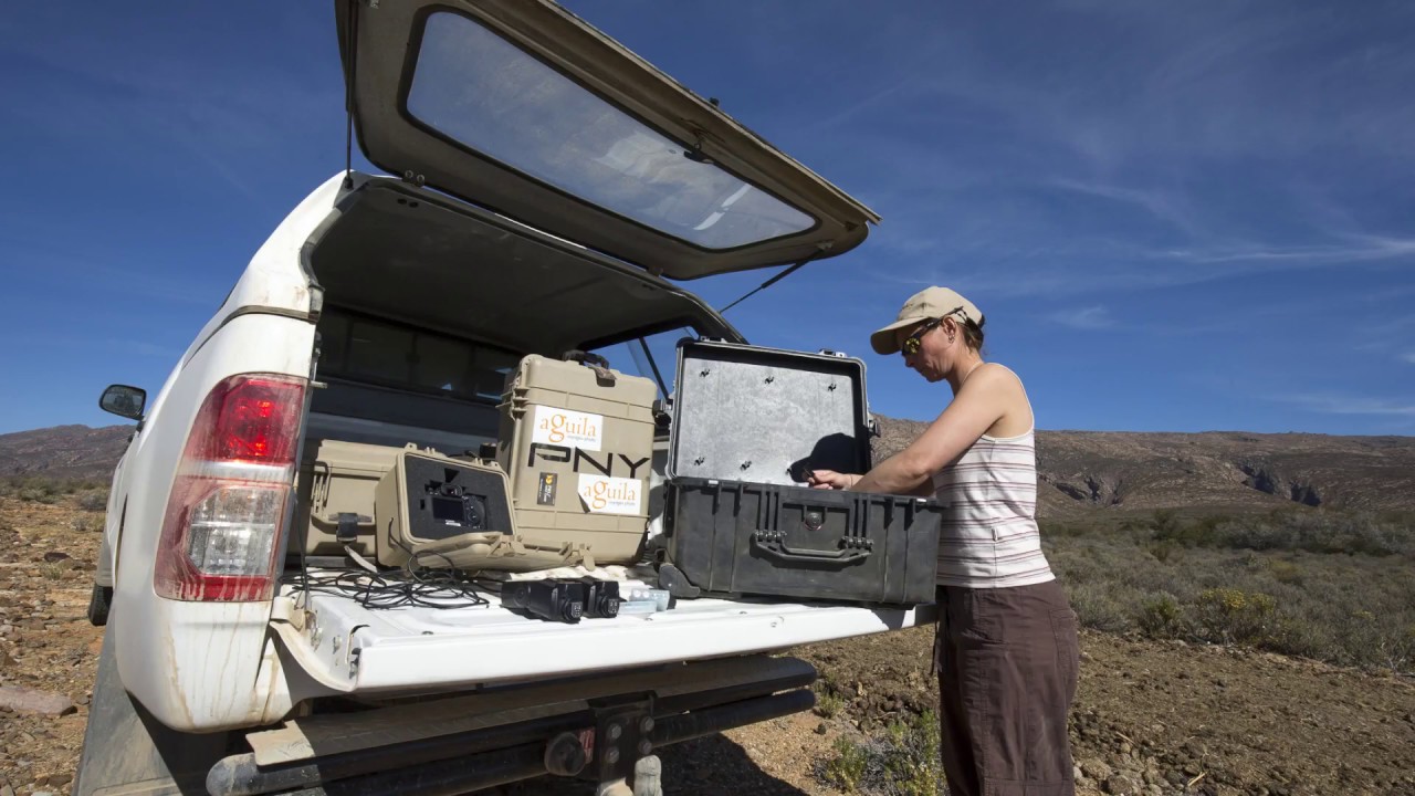 A day in the life of 2 conservation photographers