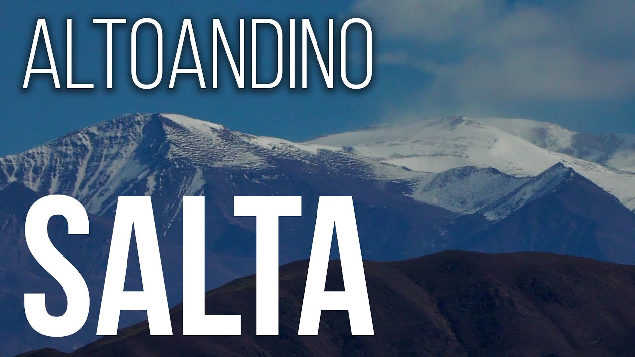 Llegamos a SALTA 🇦🇷 y visitamos el PARQUE NACIONAL LOS CARDONES