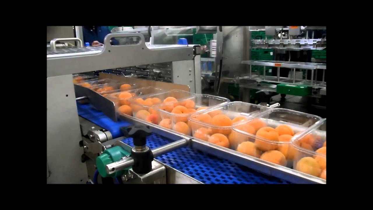 Apricot Packing Line - Packaging Automation High Speed Revolution Tray Sealing Machine