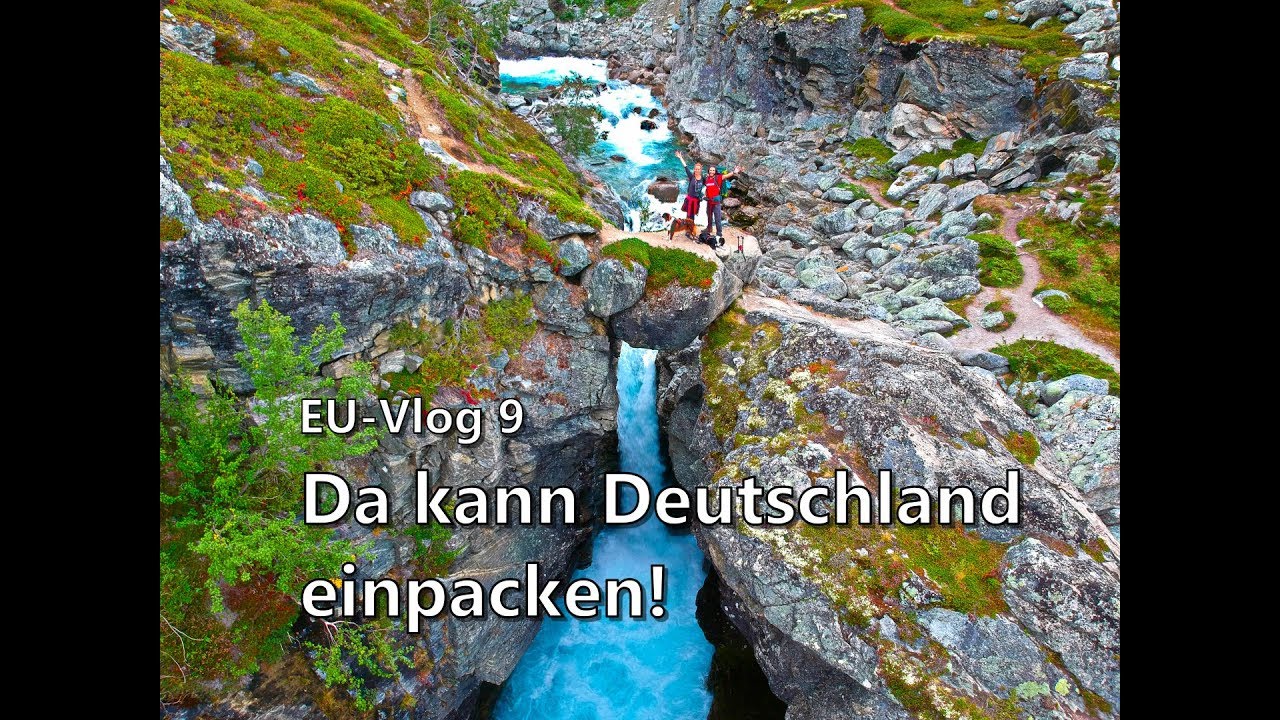 EU-Vlog9 | Moschusochsen | Dovrefjell-Nationalpark | Breheimen- Reinheimen | Wanderung | Europareise