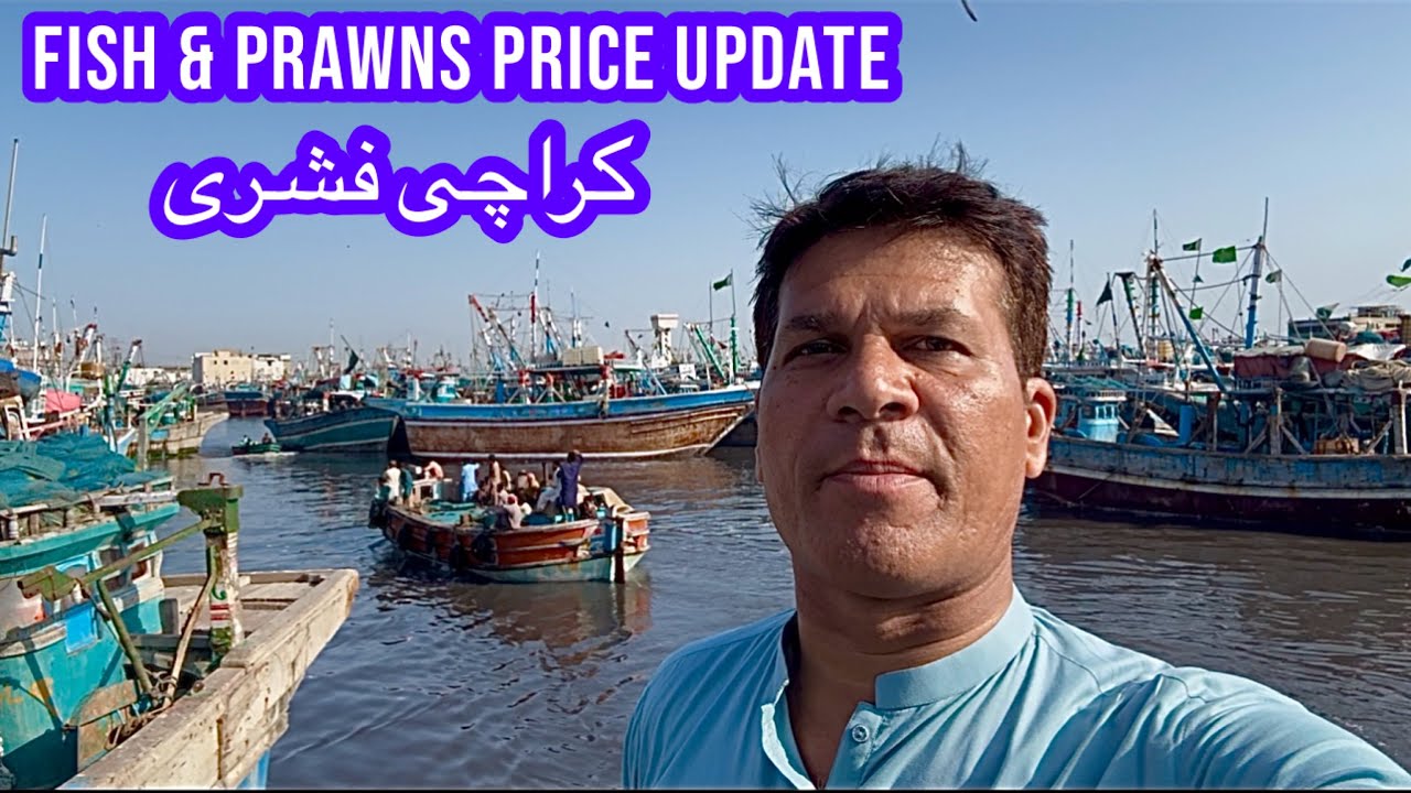 FISH & PRAWNS PRICE UPDATE KARACHI FISH HARBOUR MARKET March 14, 2026