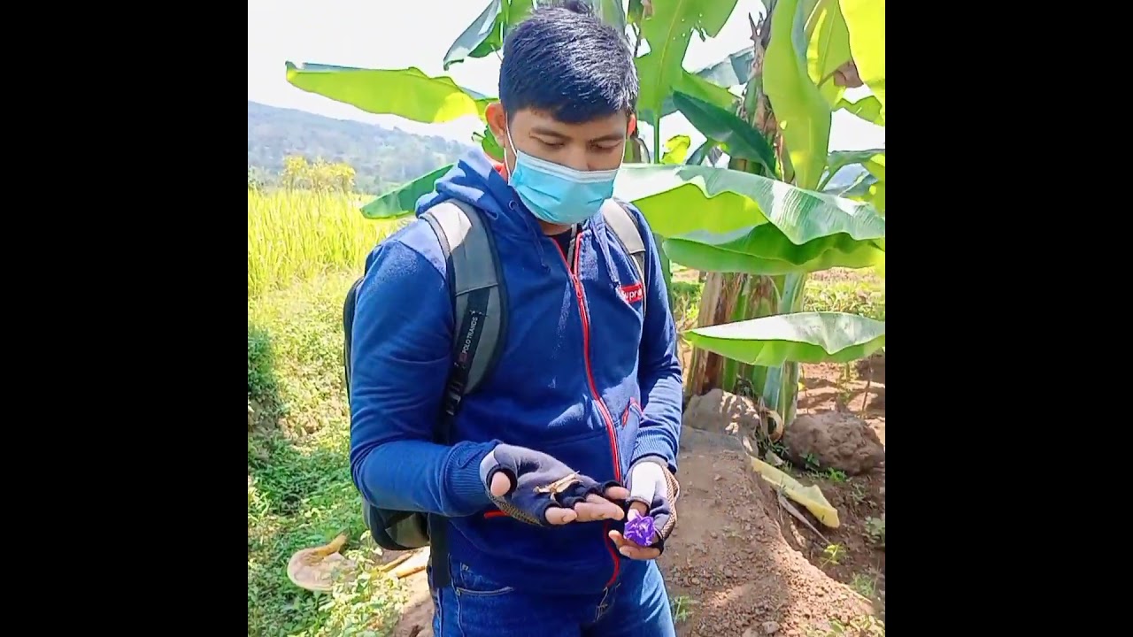 SURVEY LAHAN TEMPAT MINA PADI, DEMPLOT, SPOT FOTO PHP2D BEM SAINTEK 2021