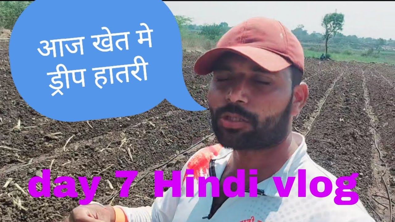 आज खेत मे ड्रीप हातरी #महाराष्ट्र #रॉयल #hindi #hardwork #Hindivlng #vlog #life  #lifestylevlogging 