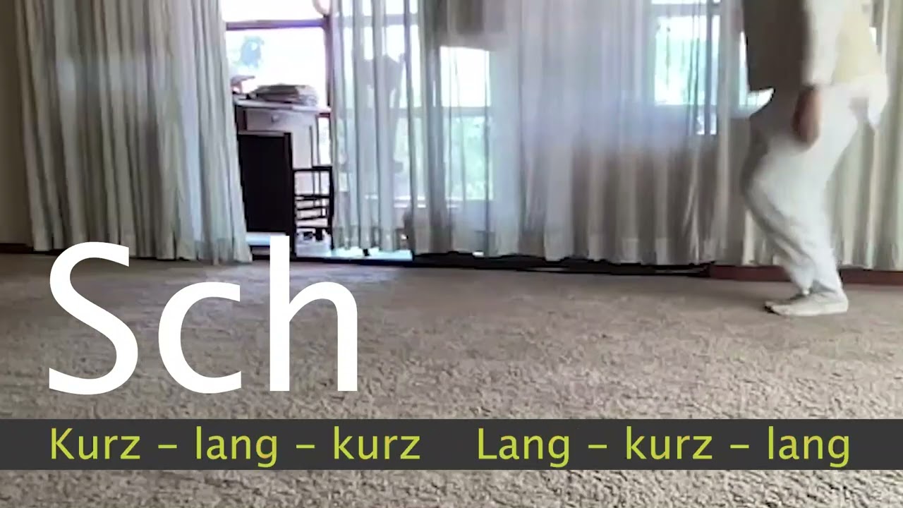 Einf&uuml;hrung in die Kr&auml;fte der Heileurythmie