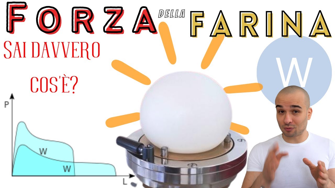 Forza della FARINA (W) : Sai Davvero Cos'&egrave;?