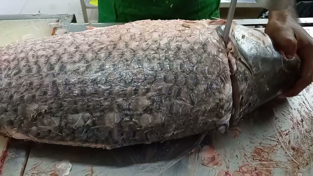 Great Rohu Fish Cutting By Expert Cutter || Fish Cutting Skill in Dhaka Bangladesh