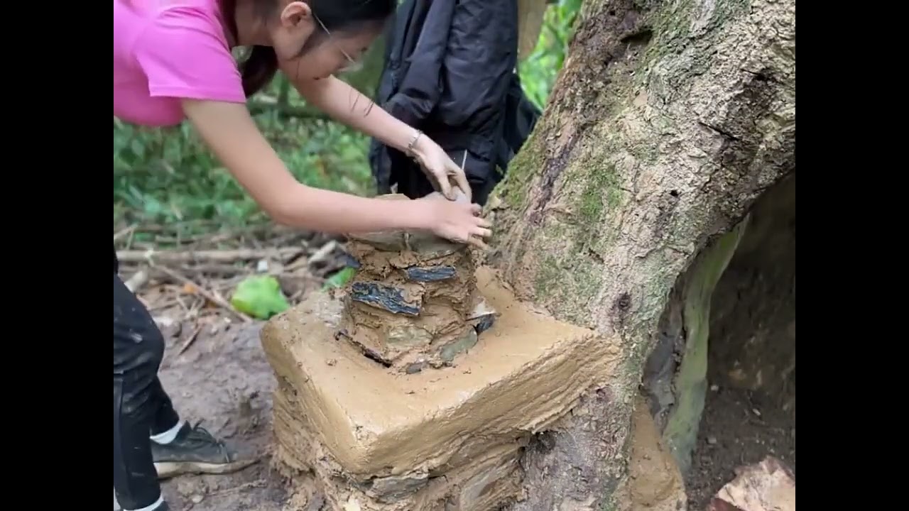 Solo Bushcraft: Transforming a Hollow Tree into a Jungle Home