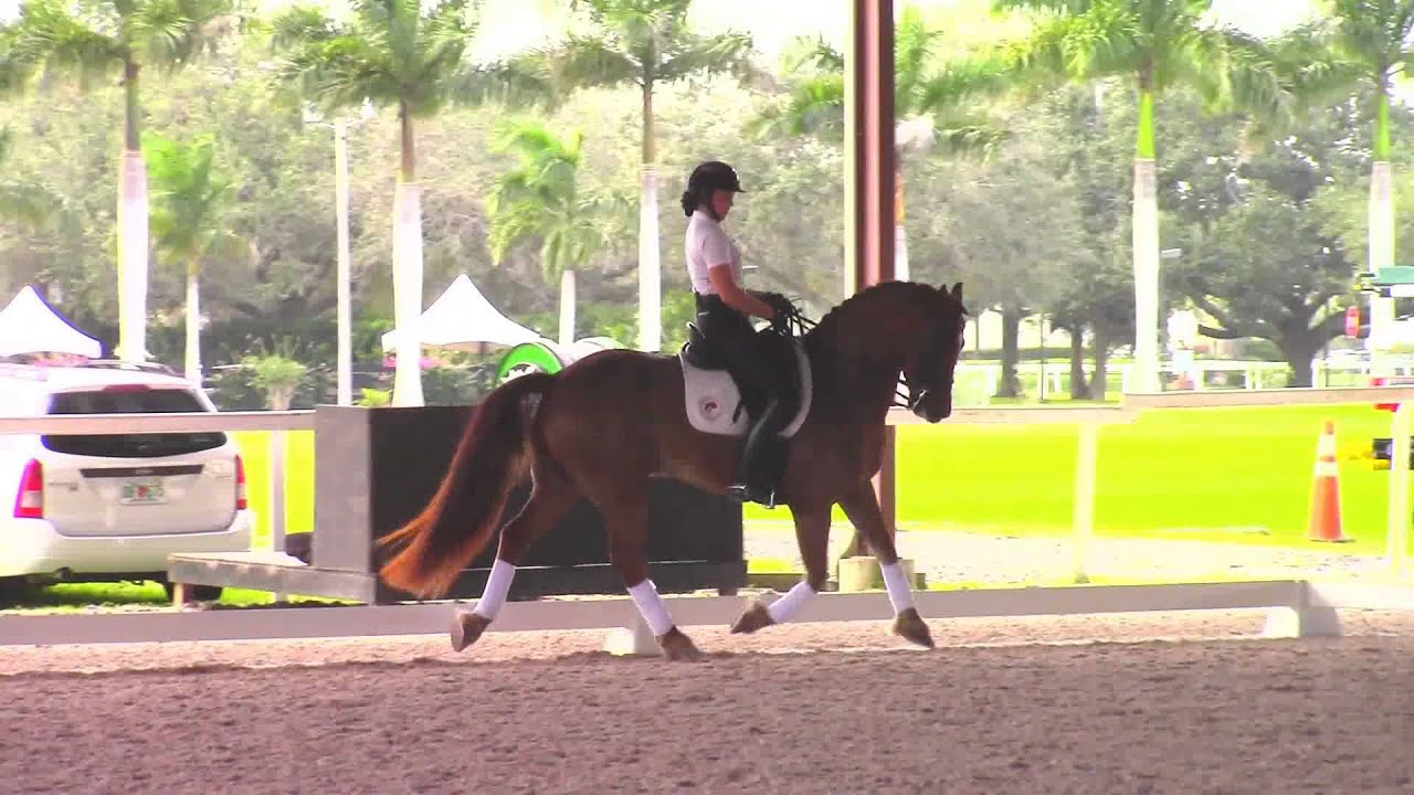 Debbie McDonald: How to Create Suspension in The Trot in Dressage