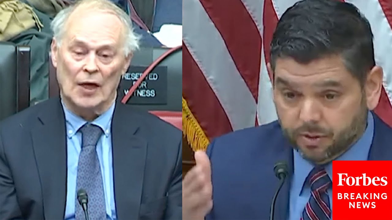 'Are You Aware Of David Duke's Praise Of Your Views?': Raul Ruiz Grills GOP-Called Witness