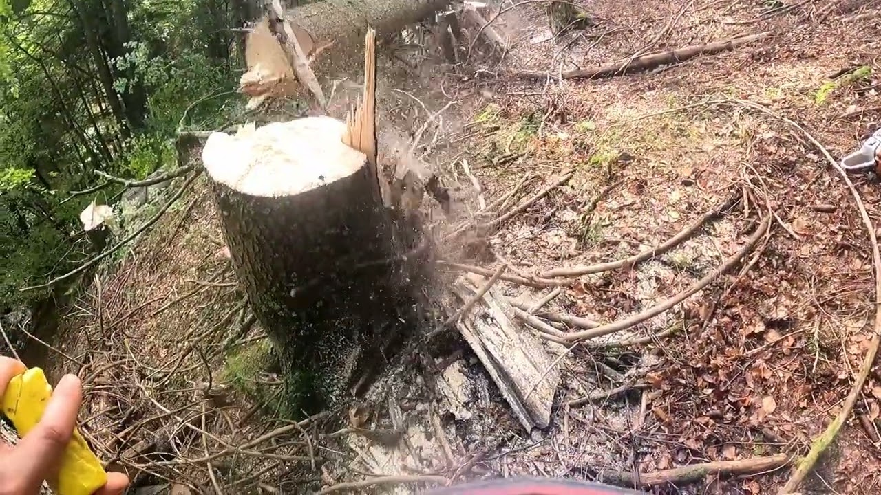 Holzfällen Seilbahn vorschneiden Stihl 400c