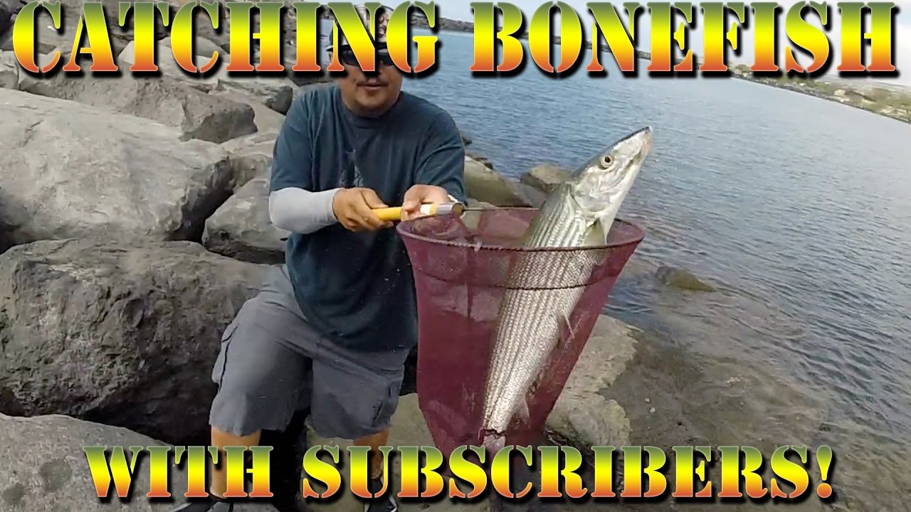 Catching Oio (Bonefish), Tako (Octopus) - Hawaii Fishing With Subscribers! - B.O.D.S. - Episode 16