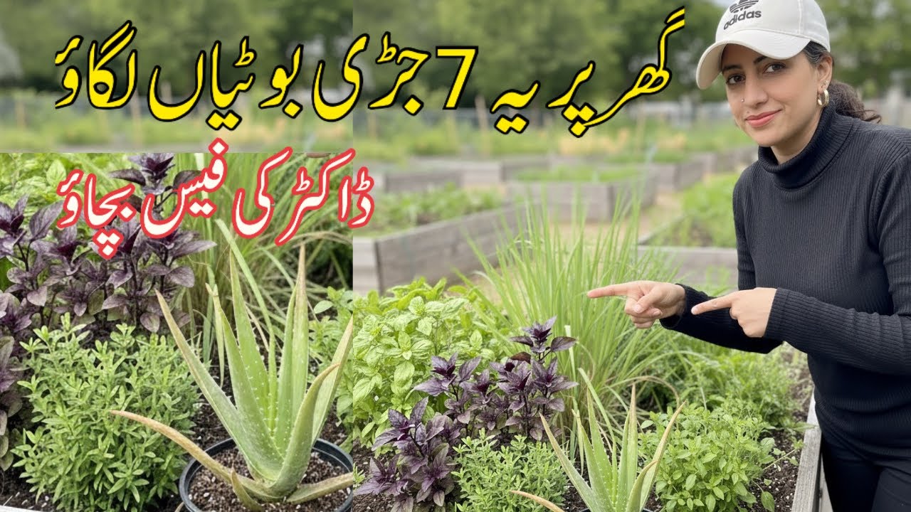 The Magic of Herbs: Grow Beauty, Flavour, and Healing at Home