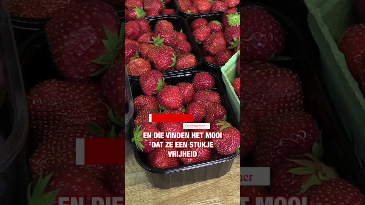 Rijdende supermarkt in Jubbega