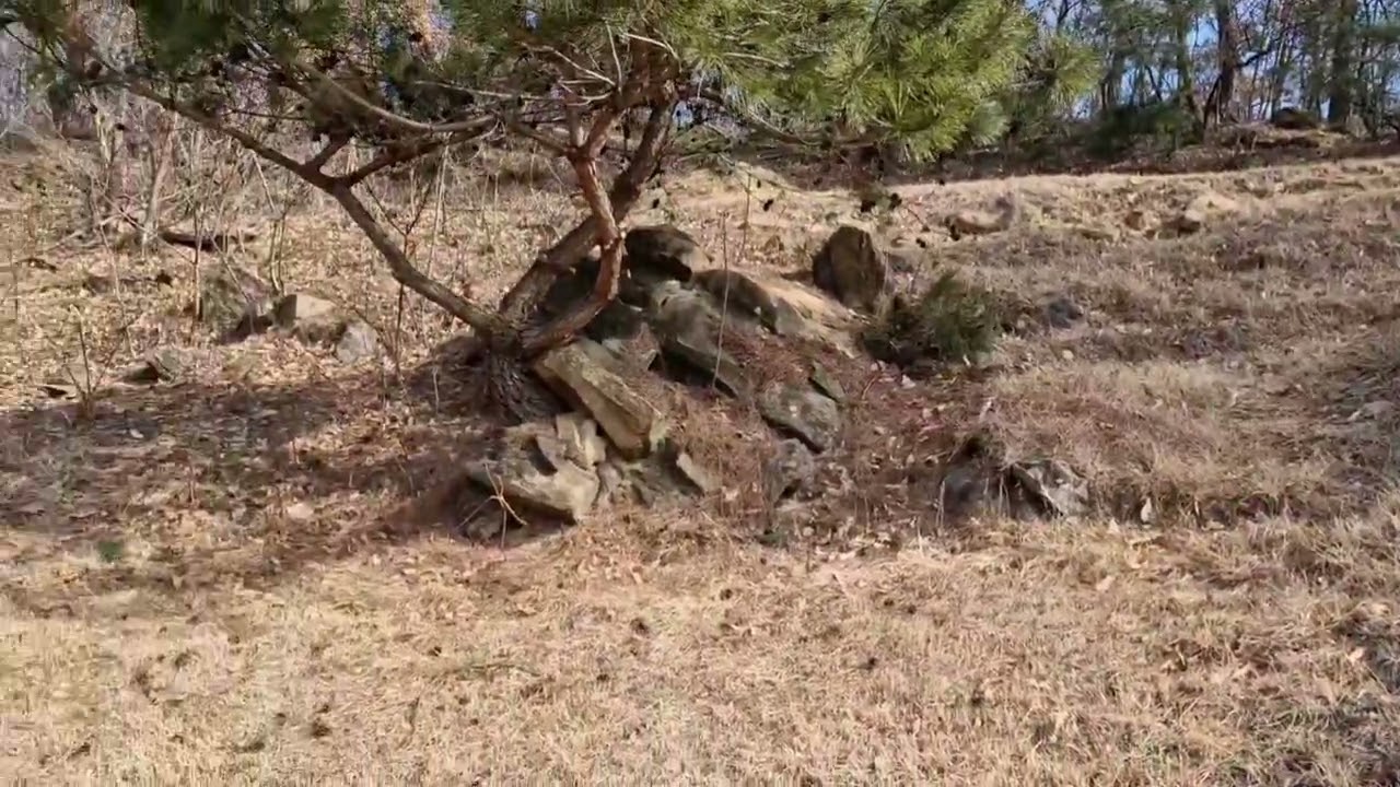 일반묘지 - 김해김씨