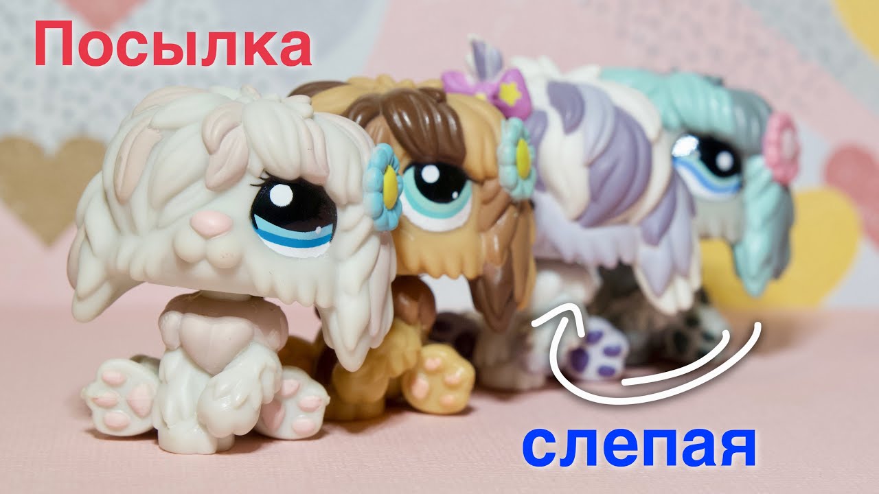 LPS посылка со СЛЕПОЙ собакой / lps распаковка