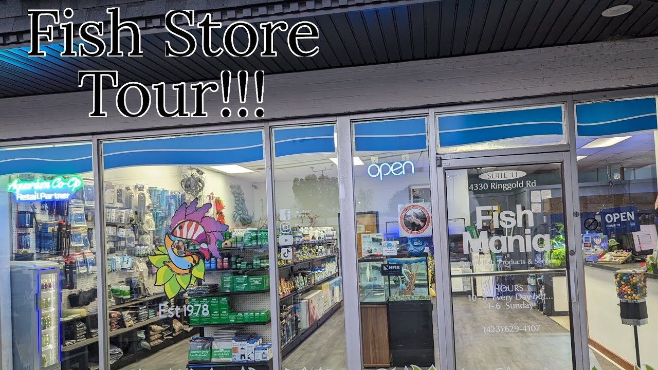 Fish Mania Chattanooga Fish Store Tour