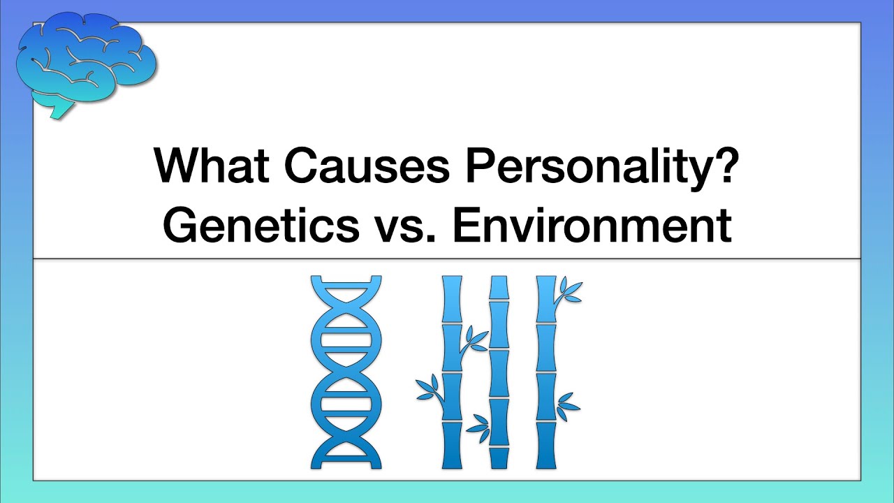 What Causes our Personality? Genetics vs. Environment