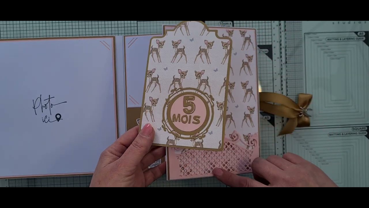 Album Naissance/cartes étapes pour BB