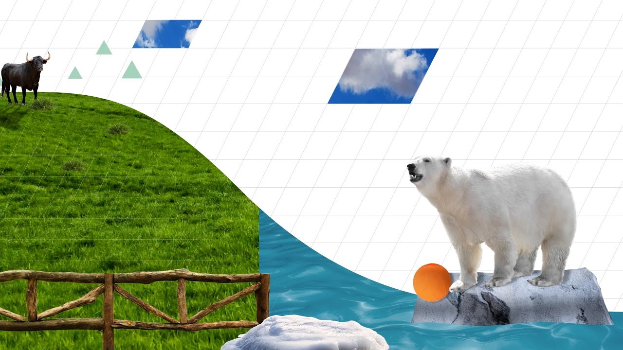Defining Bull and Bear Markets | Unpacked | J.P. Morgan