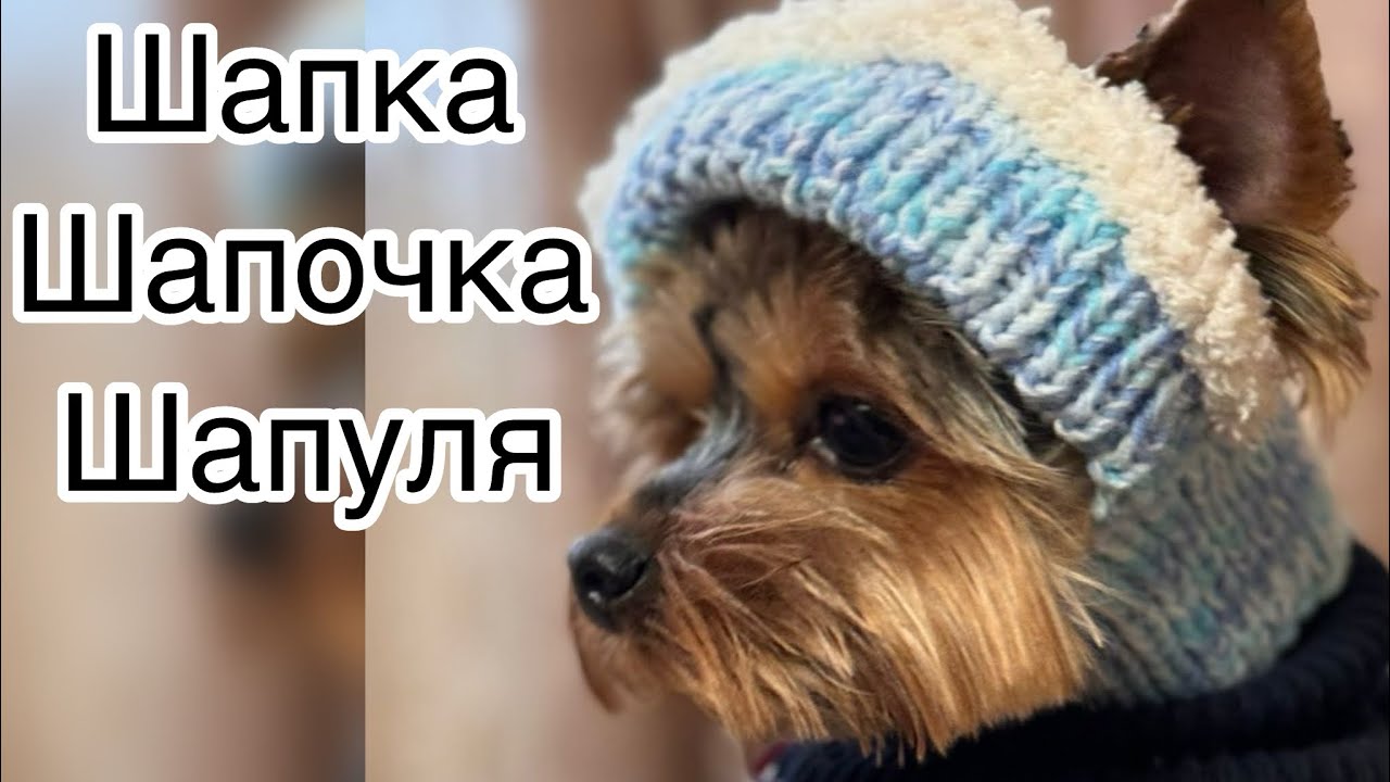 Вязание шапки для Йорка и не только////knitted dog hat🐾🐾🐾МОДНОЕ ВЯЗАНИЕ!!!