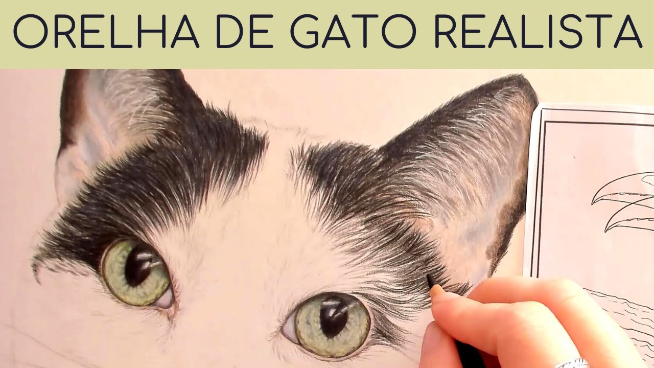 Pintando orelha de gato