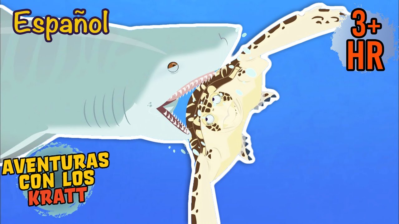 Un tiburón ataca a una tortuga marina [episodios completos] Aventuras con los Kratt