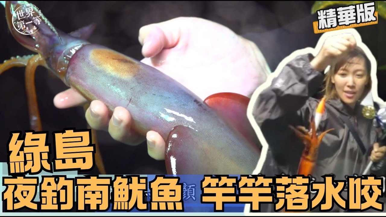 【綠島】夜釣南魷魚 假餌釣竿竿落水咬  ｜《世界第一等》1059集精華版