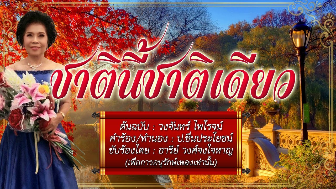 ชาตินี้ชาติเดียว - อารีย์ วงศ์จงใจหาญ - [COVER VERSION]