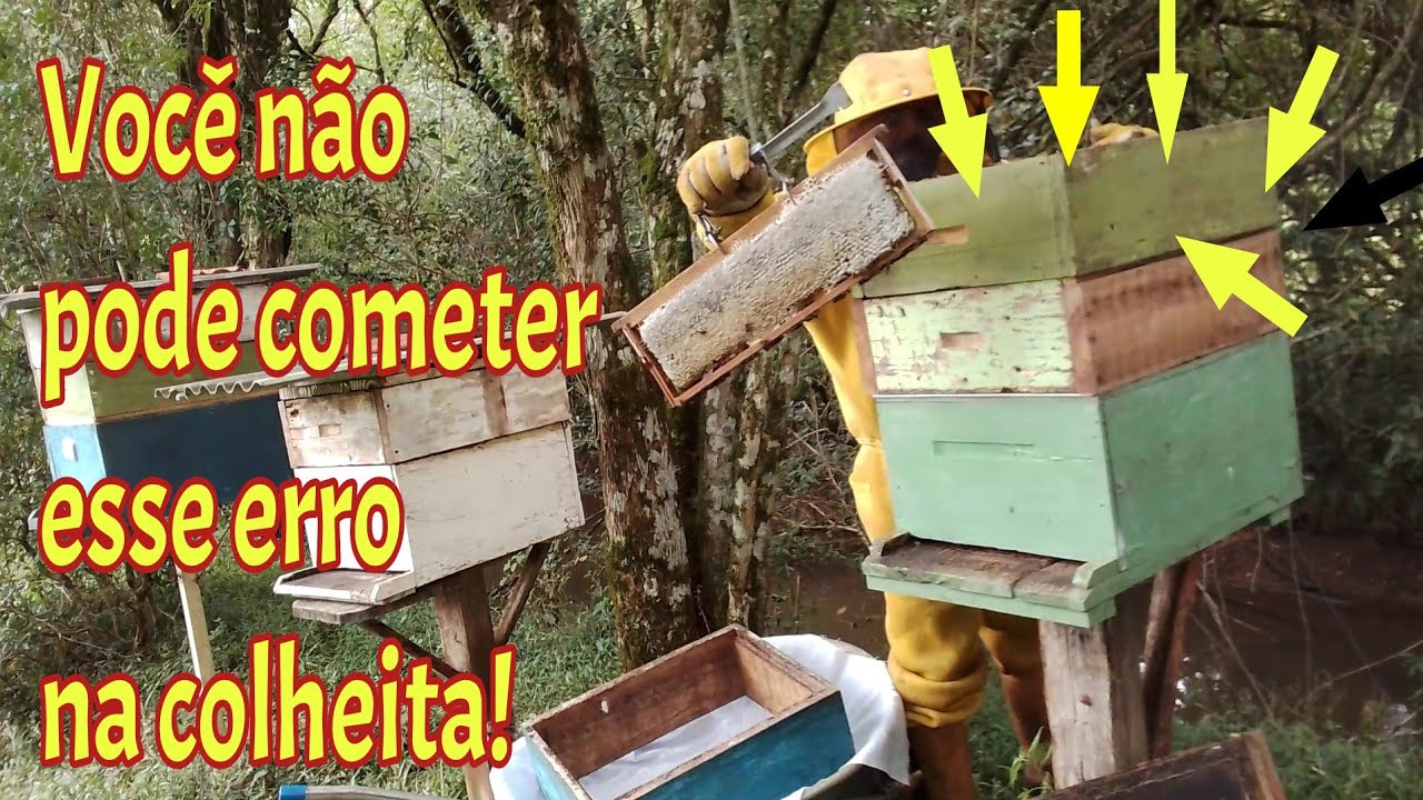 Você não pode cometer esse erro!