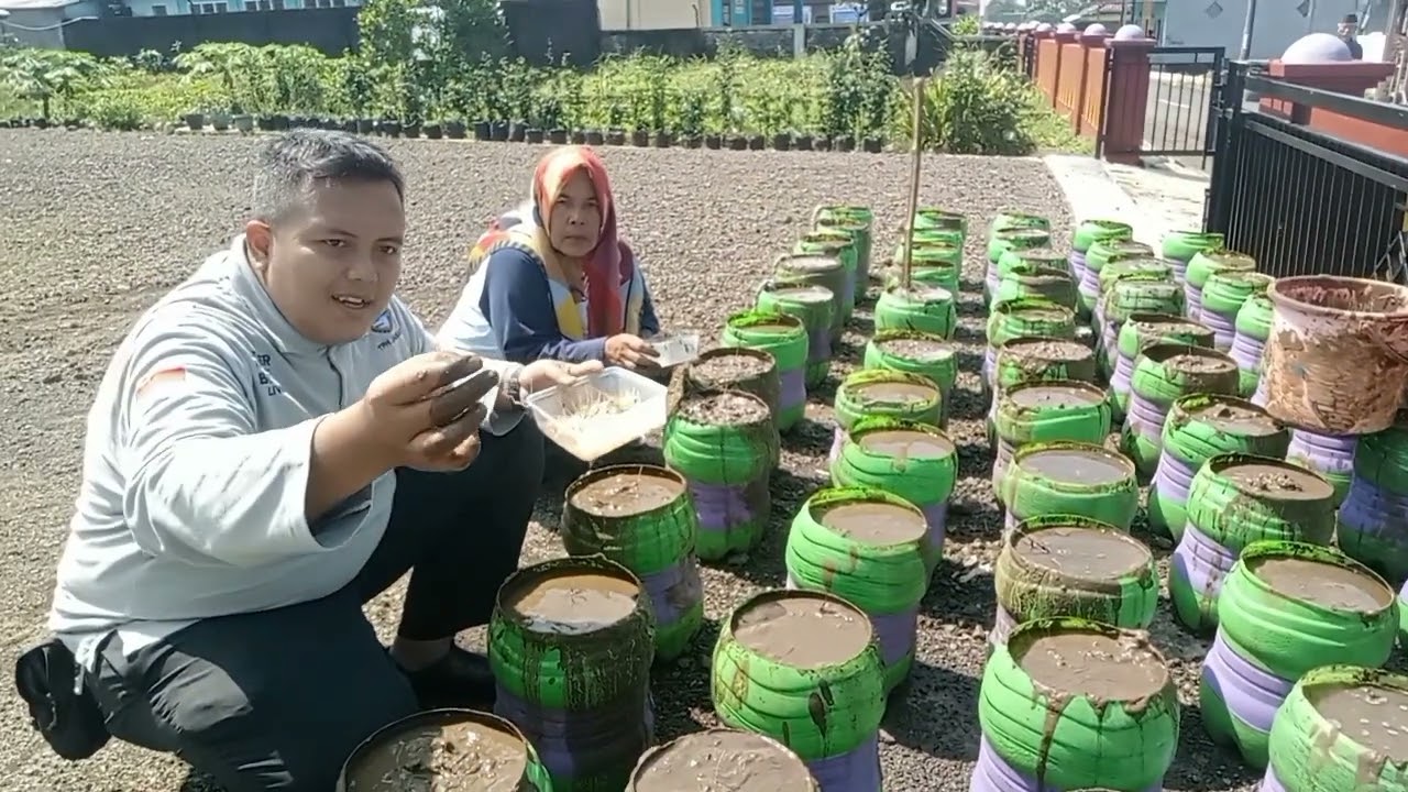 Praktek Tanam Padi sistem SRI dalam Pot di KWT Kartini 