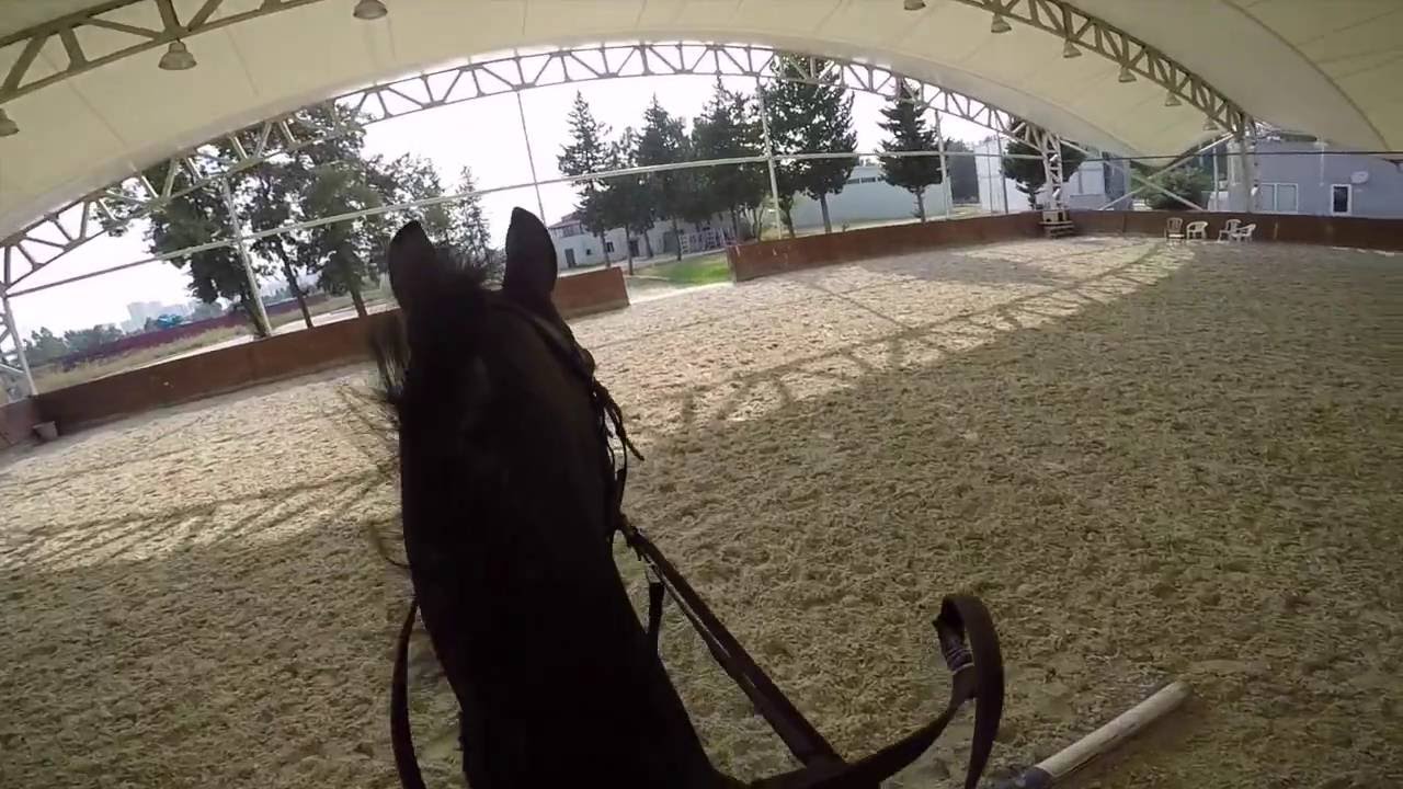 Adana Atlı Spor