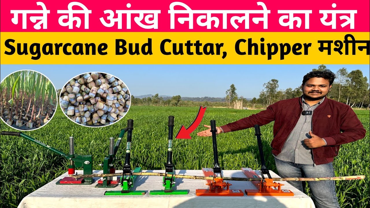 Sugarcane Bud cutter, Bud chipper Machine | गन्ने की आंख निकालने की मशीन | Bud Chipper | Bud Cuttar