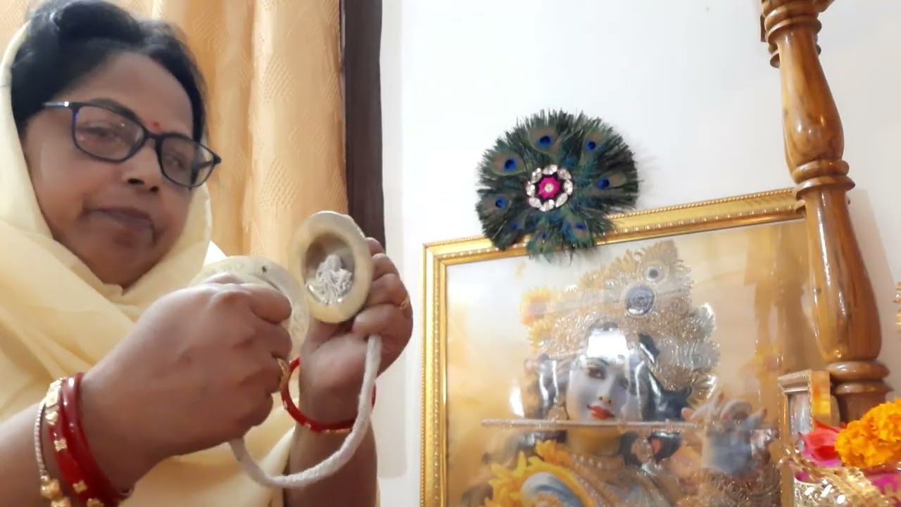 দারুণ খেলাম কচুরি ও এনজয় করলাম দিনটি ##petlovers ##minivlog #sanam #food #cat 
