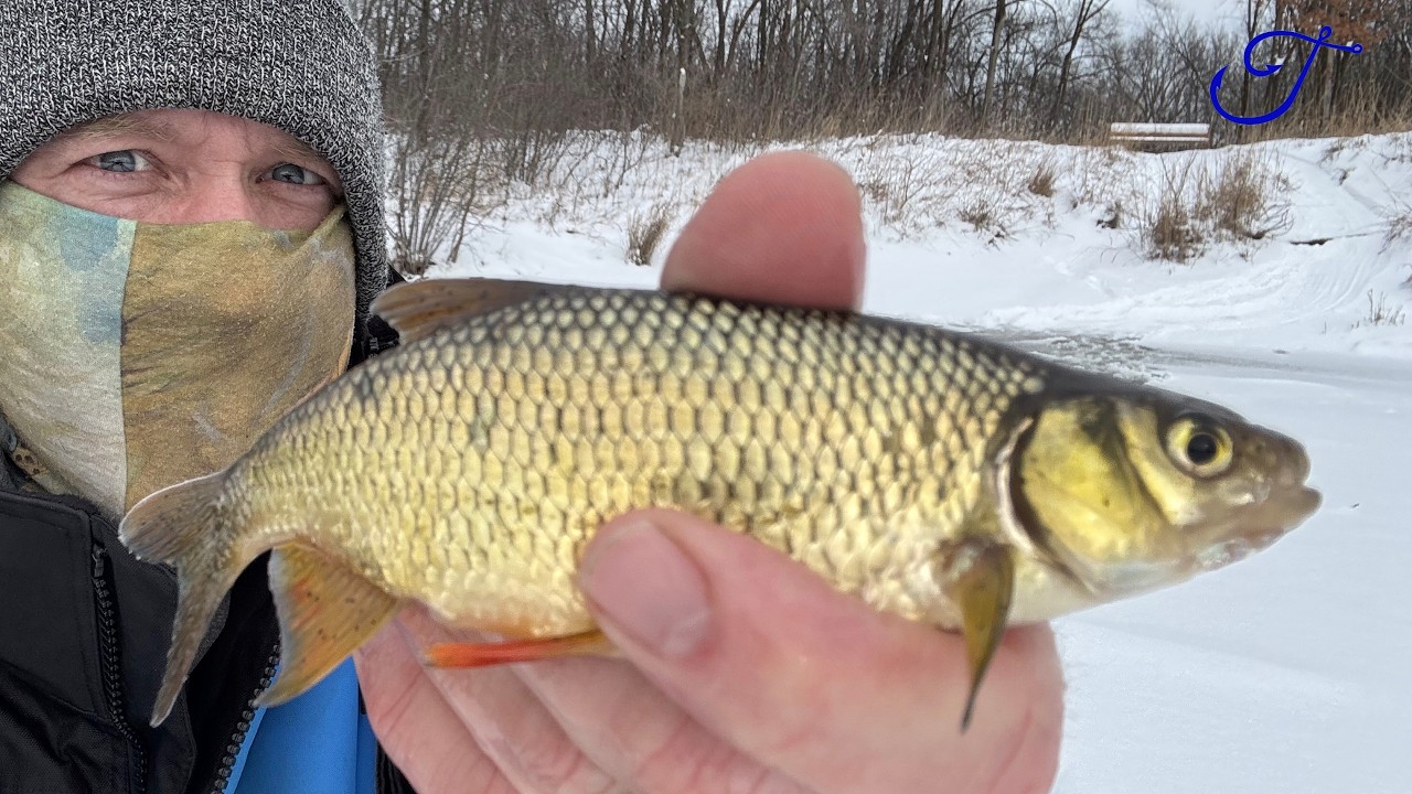 On the Ice Searching for GOLD