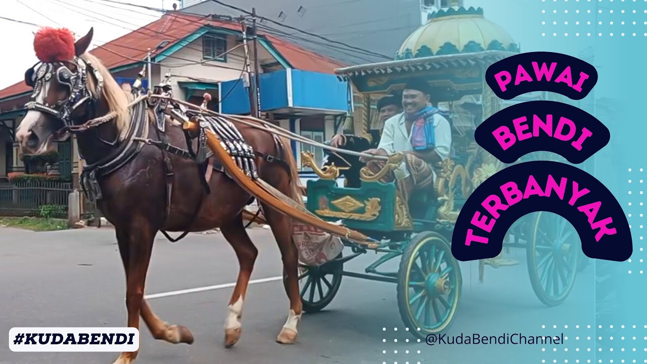 PAWAI KUDA BENDI TERBANYAK !! ( 75 BENDI ) || KOTA PAYAKUMBUH